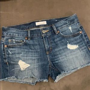 Loft distressed jean shorts